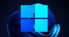 Raft for Windows 11